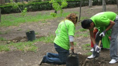Plantaron cinco mil árboles entre 50 municipios y ONGs santafesinas