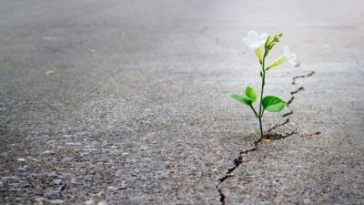 La grieta como estrategia política