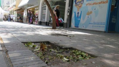 Para renovar el centro rosarino, el municipio quiere que vayan a vivir los jóvenes