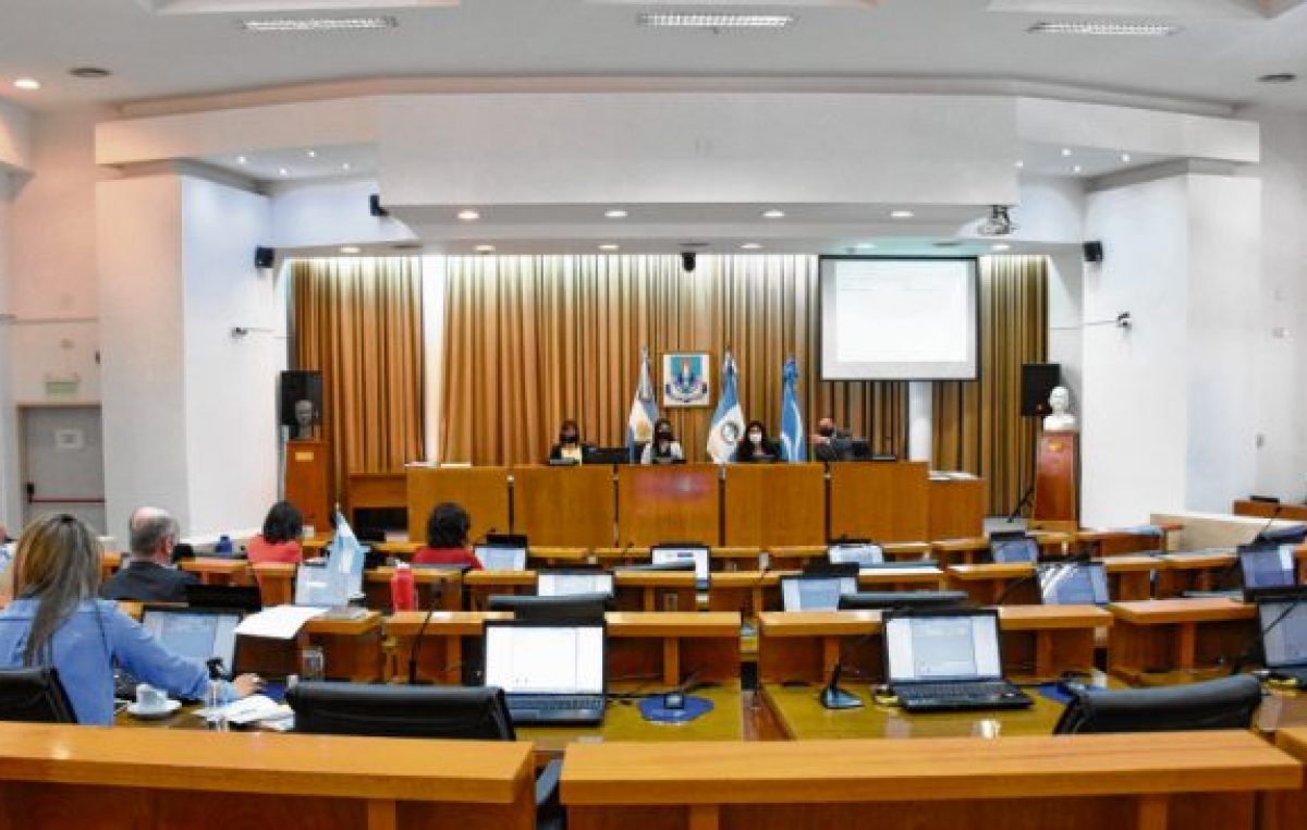 La voz de quienes redactaron la Carta Orgánica de la capital de Neuquén