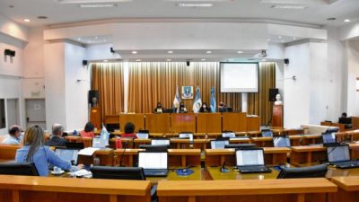 La voz de quienes redactaron la Carta Orgánica de la capital de Neuquén