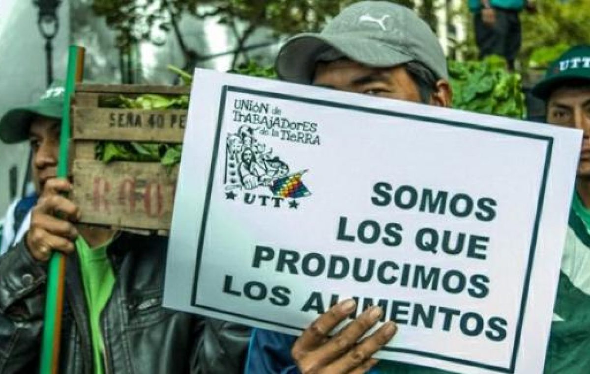 Así luchan en Río Colorado por el acceso a la tierra para producir alimentos sanos