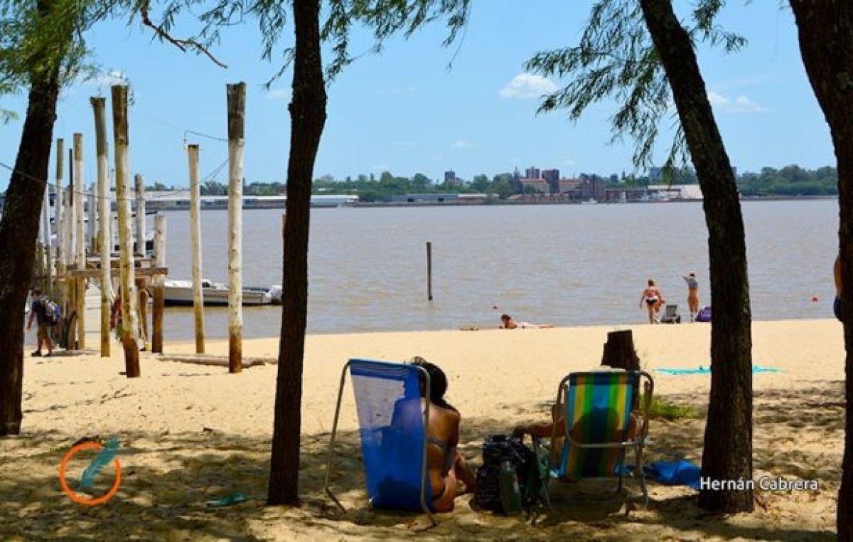 Insólito: los paradores que están en la única isla rosarina tributan en Victoria