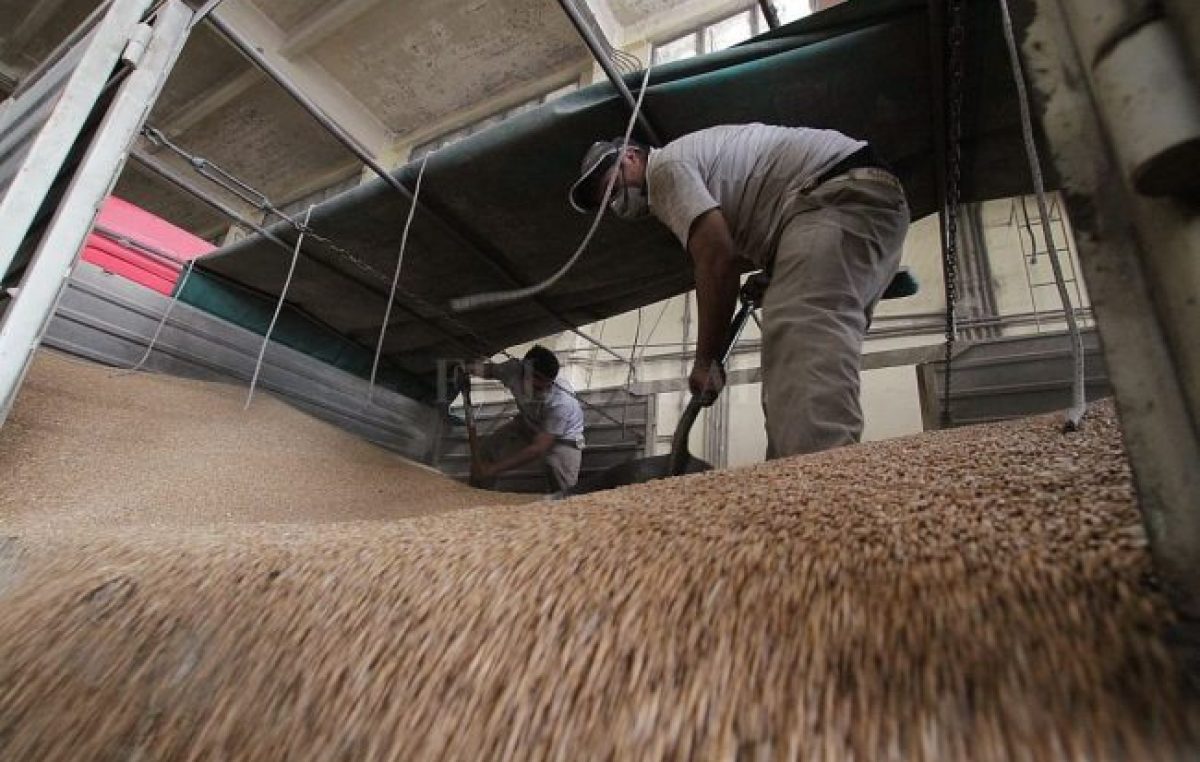 Las exportaciones de bienes producidos en la provincia de Santa Fe crecieron un 50%