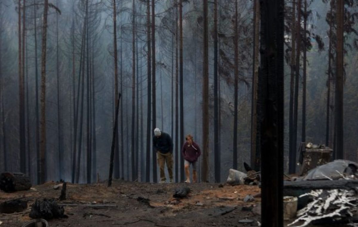 «Esto no terminó», advirtió el intendente de El Hoyo respecto a los incendios