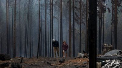 «Esto no terminó», advirtió el intendente de El Hoyo respecto a los incendios