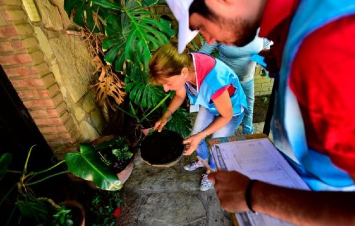 Dengue: el mosquito, en el 30% de los hogares de Córdoba capital  