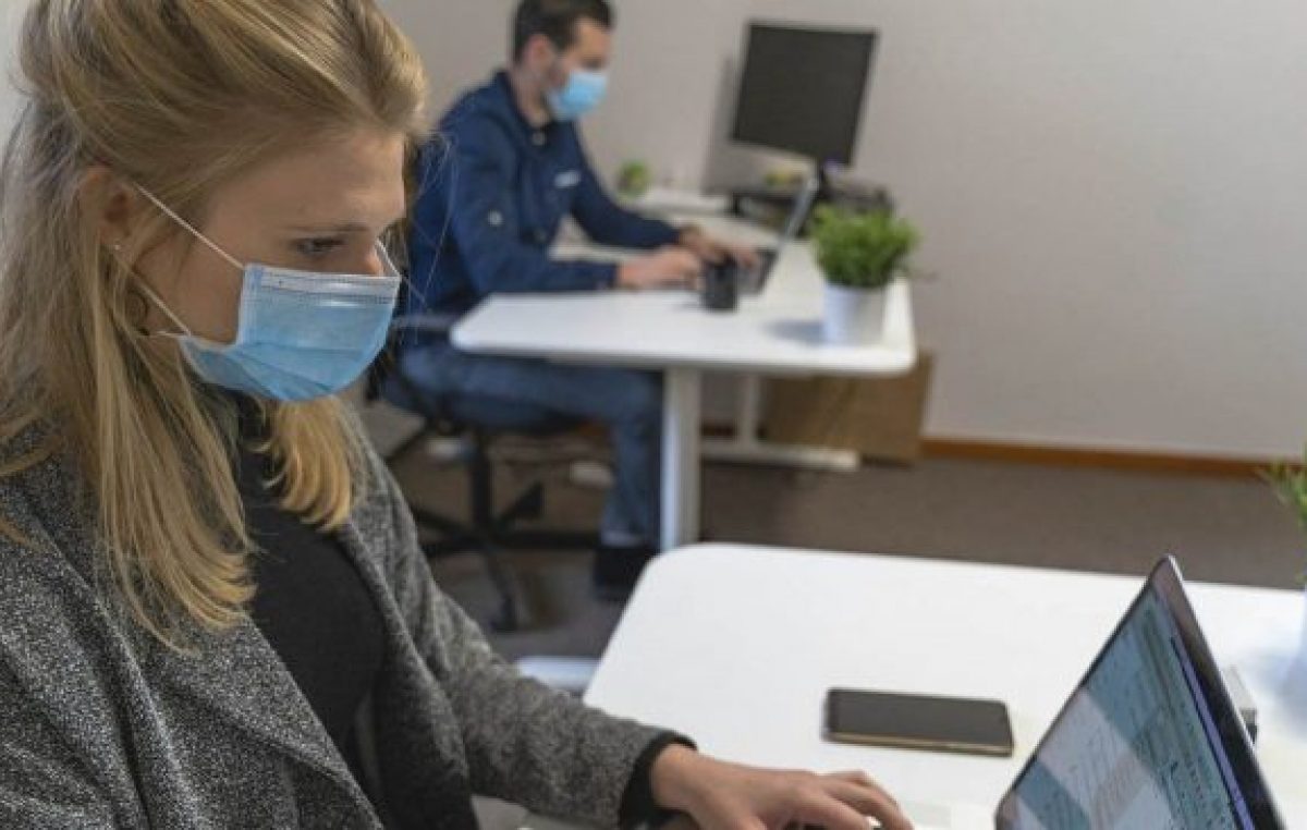 Portal Empleo: cómo es la plataforma digital gratuita para buscar trabajo que lanzó el Gobierno