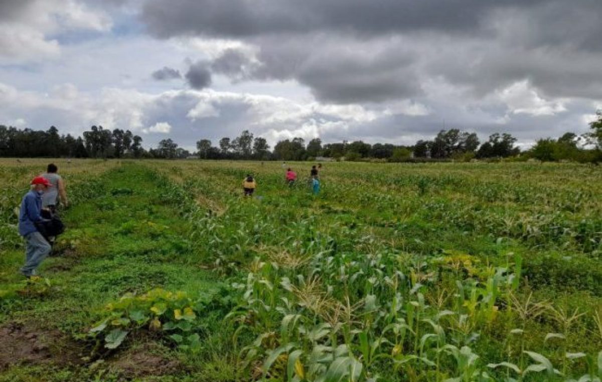 La toma de tierras que se convirtió en una huerta vecinal