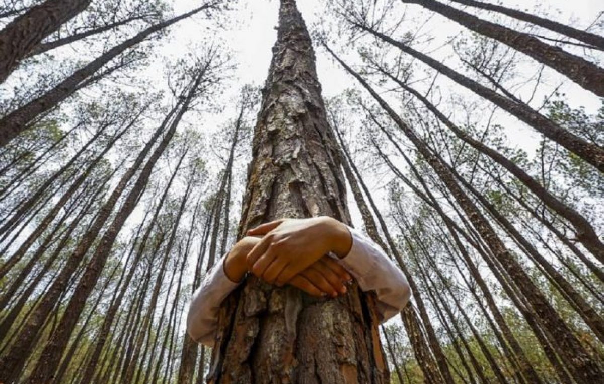La preocupación ciudadana por la crisis ambiental aumentó casi 700% entre 2016 y 2020