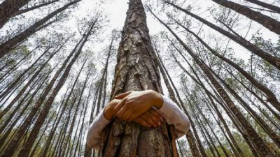 La preocupación ciudadana por la crisis ambiental aumentó casi 700% entre 2016 y 2020