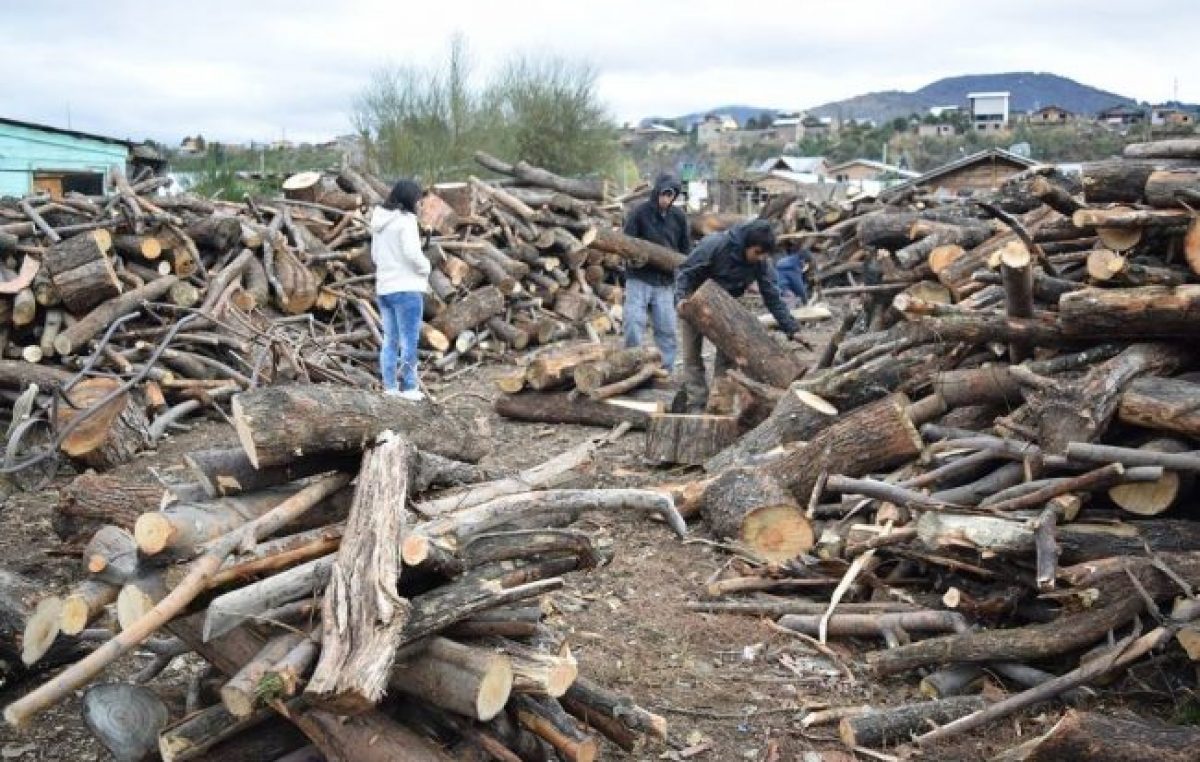Comienza la entrega de leña del Plan Calor Municipal en Bariloche