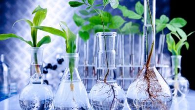 «El sector público debe ser el impulsor de la bioeconomía en las economías regionales»