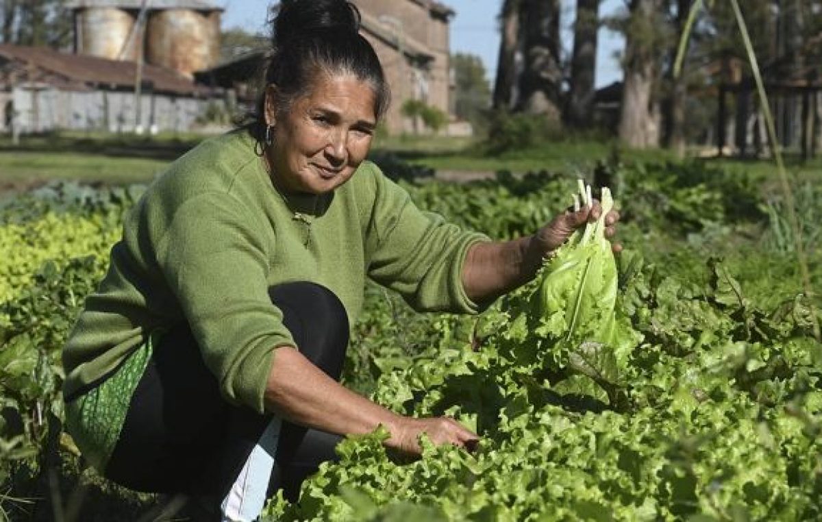SemillAR, un programa para rescatar las semillas nativas para la producción