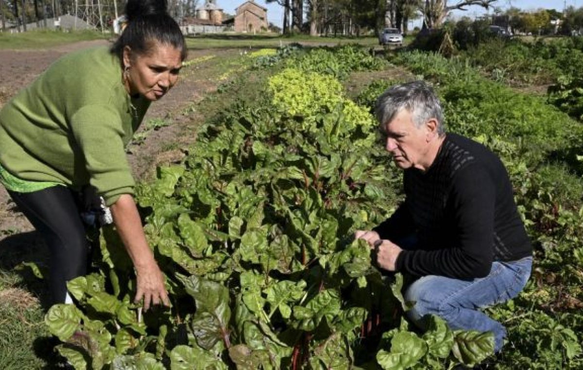Reafirman la necesidad de la prórroga de la ley que suspende los desalojos de familias productoras