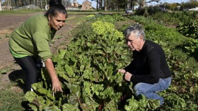 Reafirman la necesidad de la prórroga de la ley que suspende los desalojos de familias productoras
