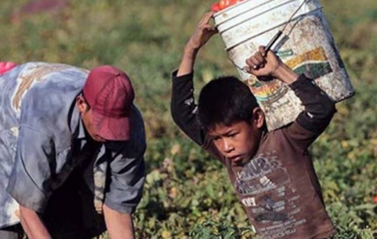A trabajar en plena pandemia, el 16 por ciento de los menores de 17 años trabaja en la Argentina