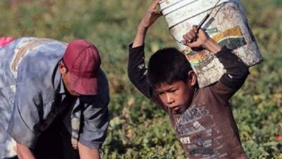 A trabajar en plena pandemia, el 16 por ciento de los menores de 17 años trabaja en la Argentina