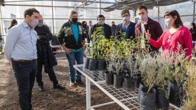 Día histórico en Comodoro: el intendente reinauguró el Vivero Agrícola Forestal