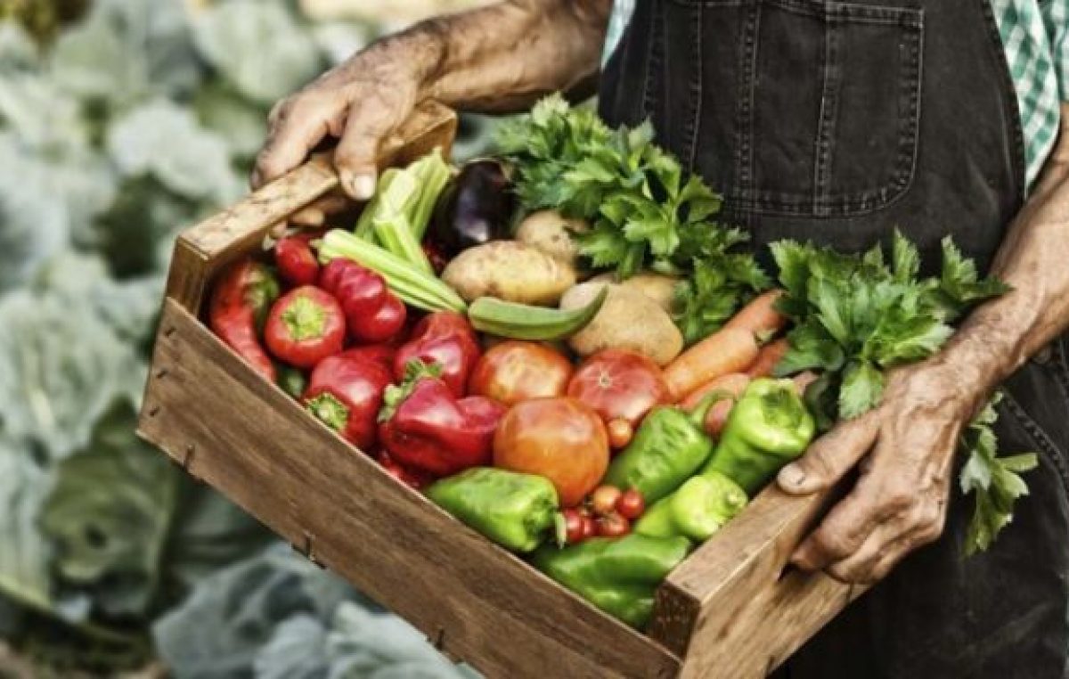 Alimentos: Los consumidores pagan hasta 14 veces lo que recibe el productor