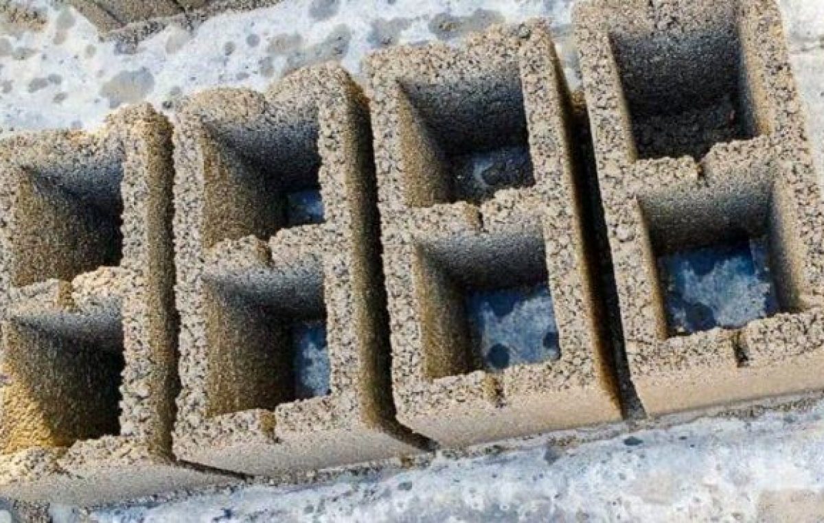 Una máquina bloquera le cambió la vida a un pueblo del norte neuquino