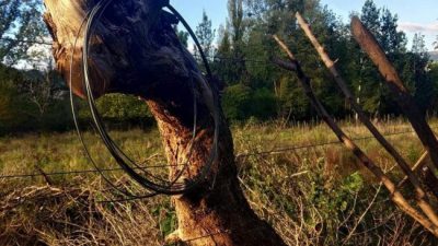 Autovía de Punilla: “La angustia de perder tu casa, tu forma de vida”