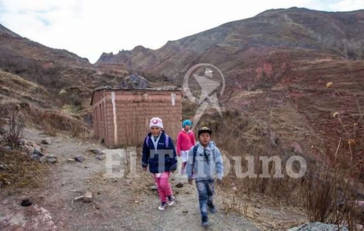 En Salta un alumno rural primario camina para ir a la escuela casi tres horas, y uno secundario, cinco