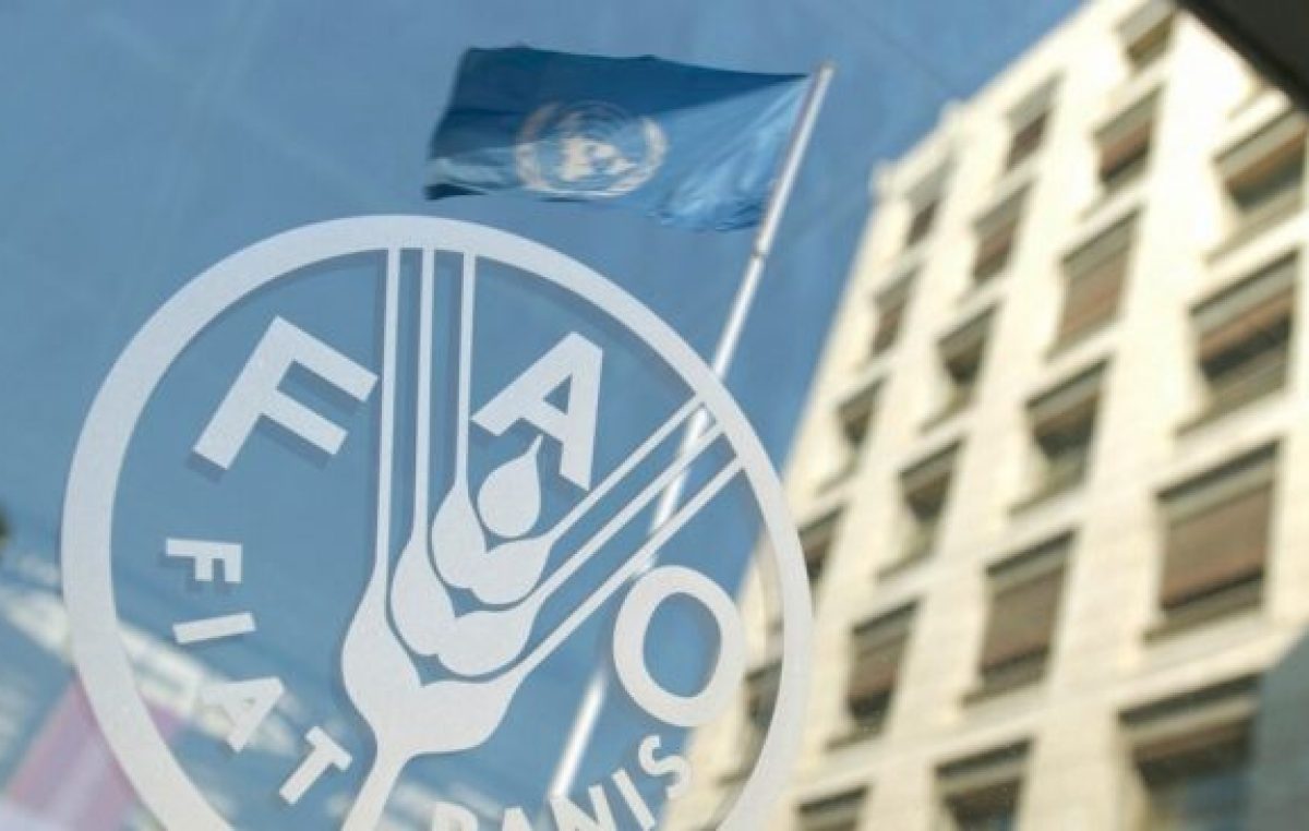 Alimentos en el mundo: 40% más caros en un año