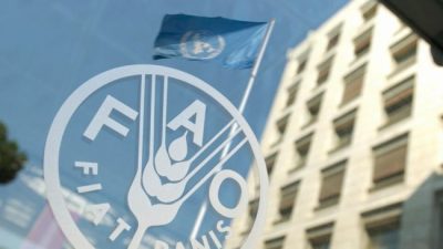 Alimentos en el mundo: 40% más caros en un año