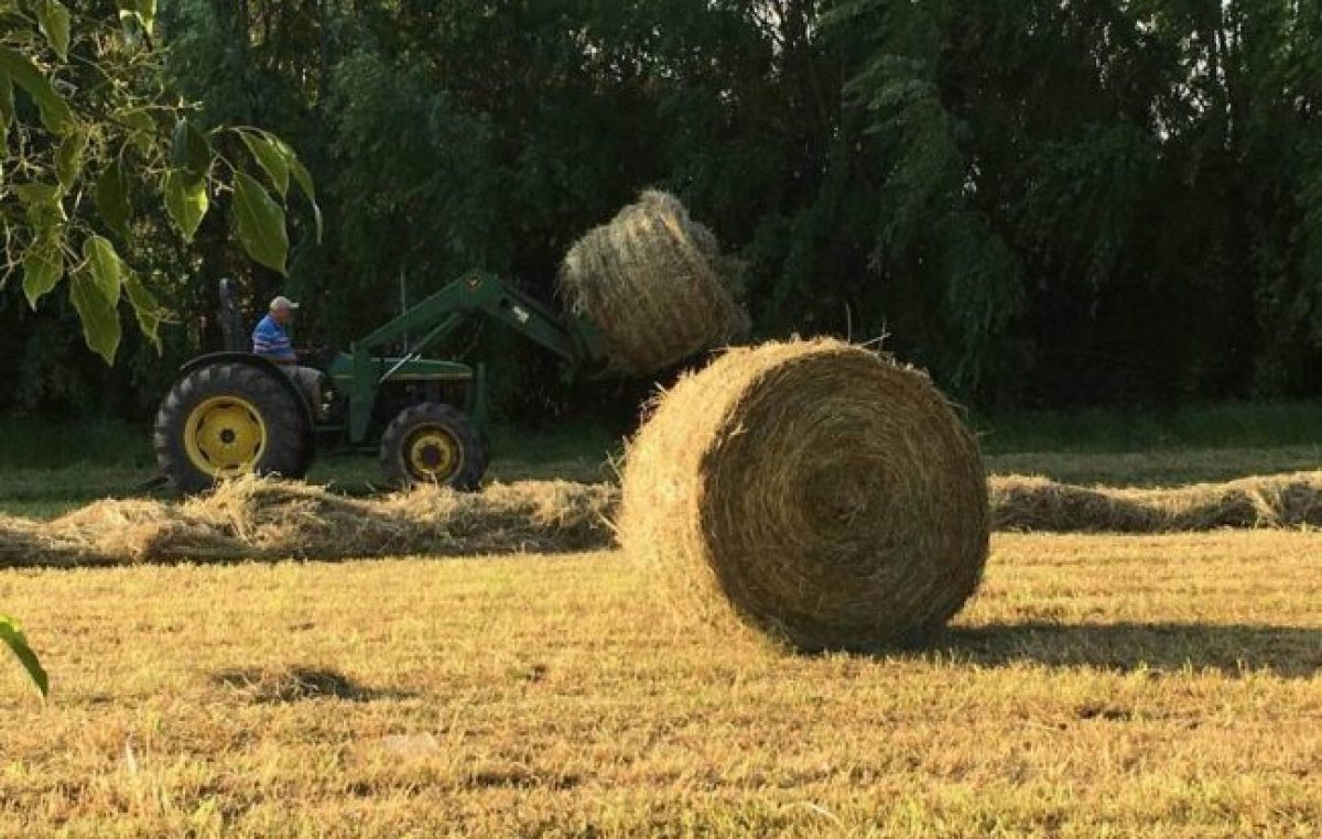 Desarrollo rural