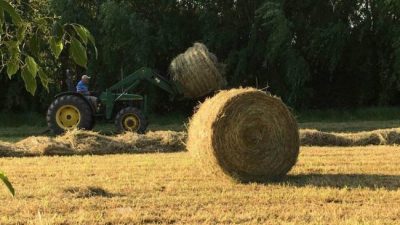 Desarrollo rural