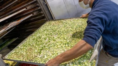 Un proyecto alimenticio neuquino fue reconocido a nivel nacional