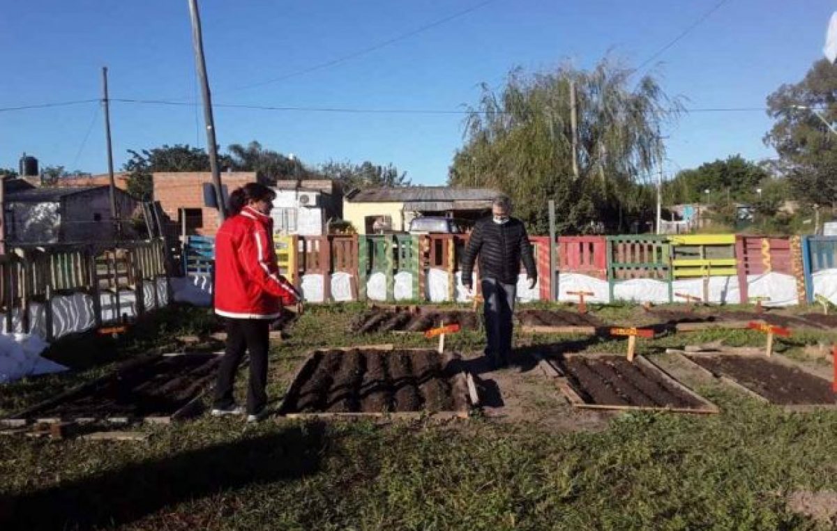 Santo Tomé: Crece en barrio Las Vegas el desarrollo de las huertas familiares y comunitarias