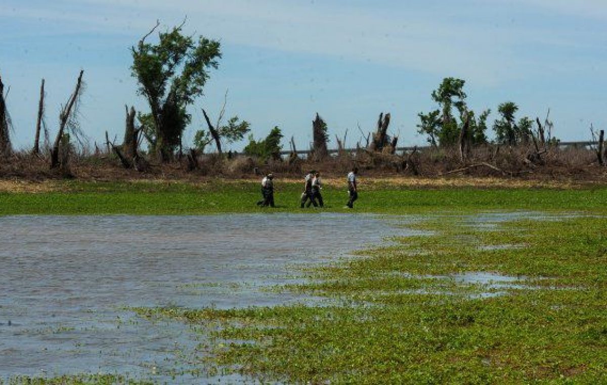 Denuncian venta de terrenos y ocupaciones irregulares en una isla al norte de Rosario