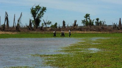 Denuncian venta de terrenos y ocupaciones irregulares en una isla al norte de Rosario