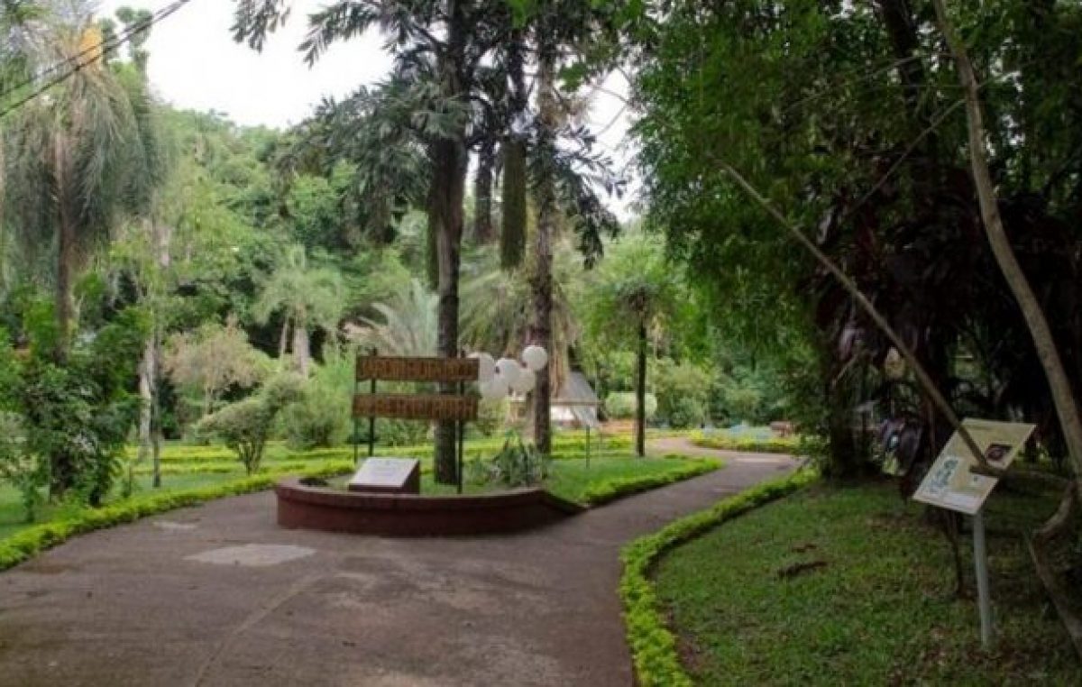 Proyecto Bioparque: se producen más de 10 mil plantines de especies nativas en el Jardín Botánico de Posadas