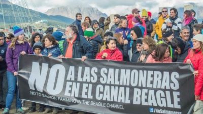 Una ley ambiental pionera para Tierra del Fuego 