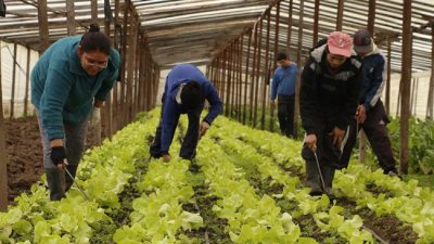 Nación da $58 millones a proyectos productivos en municipios bonaerenses