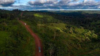 La tala convirtió a la selva amazónica en emisor de dióxido de carbono