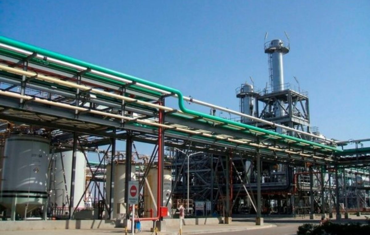 El impacto de la nueva ley de biocombustibles