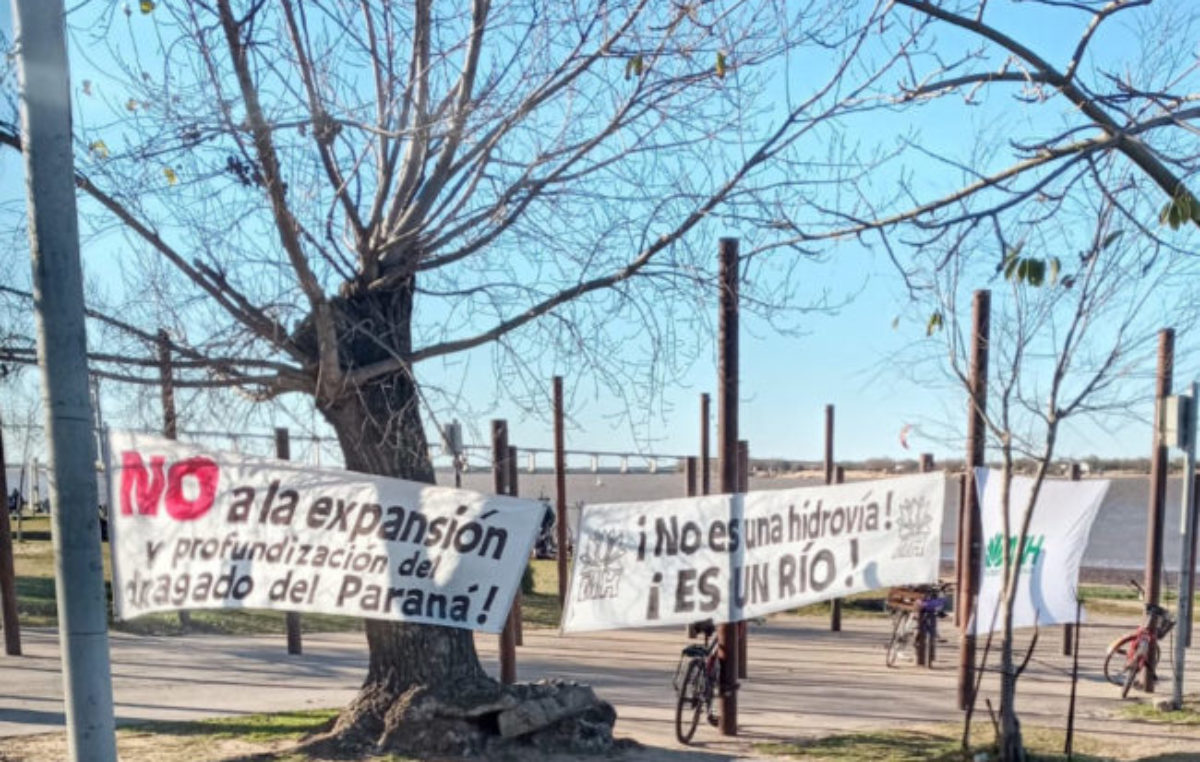 Cuidar el Paraná, cuidar humedales