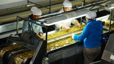Economías regionales con despegue exportador
