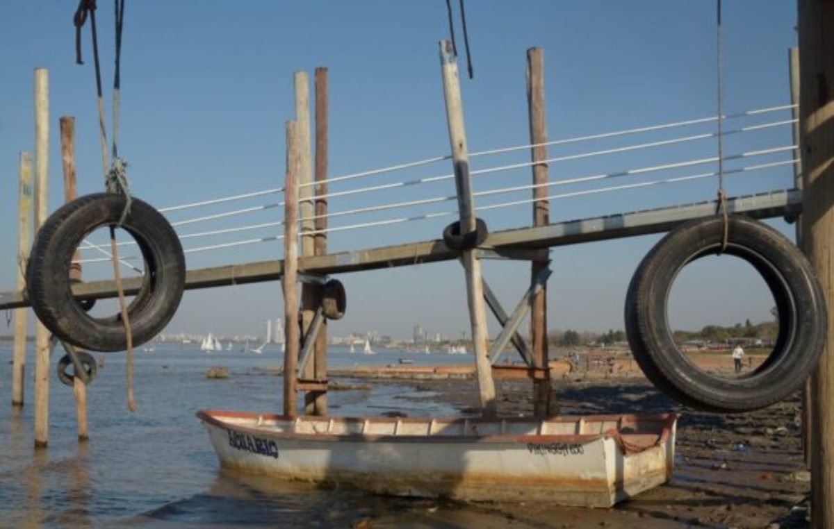Crónica del río marrón  