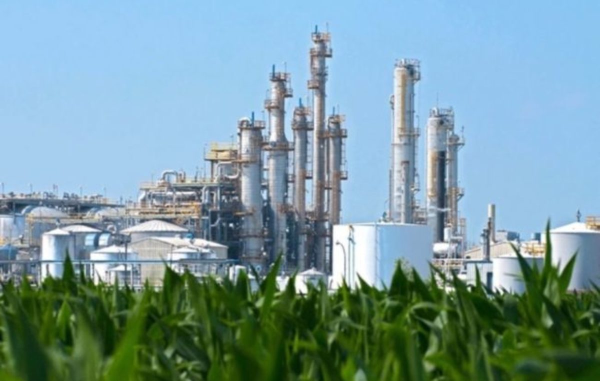 Esta semana se aprobaría la nueva ley de biocombustibles