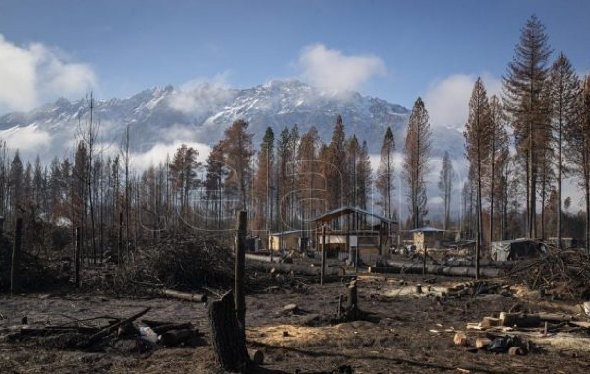 Tras el fuego, la trama solidaria que colabora en la reconstrucción de la Comarca Andina