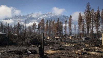 Tras el fuego, la trama solidaria que colabora en la reconstrucción de la Comarca Andina