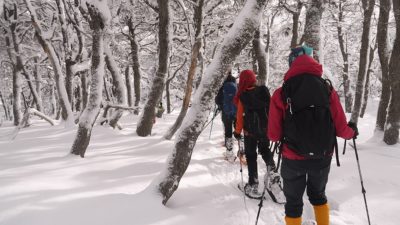 El Parque de Nieve en Trevelin combina turismo con identidad y cultura ancestrales