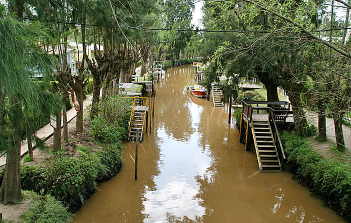 Buenos Aires desde el agua: el Tigre y el Delta