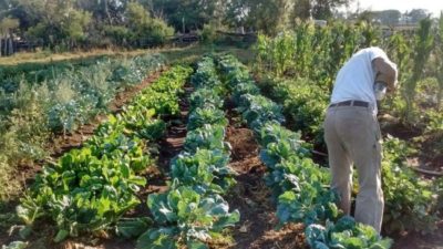 Buen vivir: presentan un proyecto para crear 10 mil huertas en todo el país