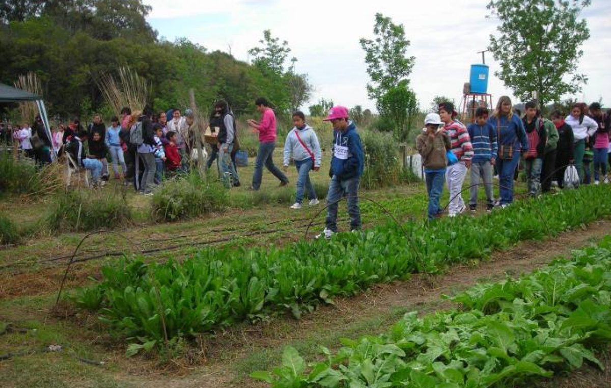 Santa Fe: Huerta Familiar ya produjo un ahorro de 500 millones de pesos